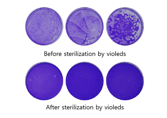 UV LED燈，能不能殺死冠狀病毒？